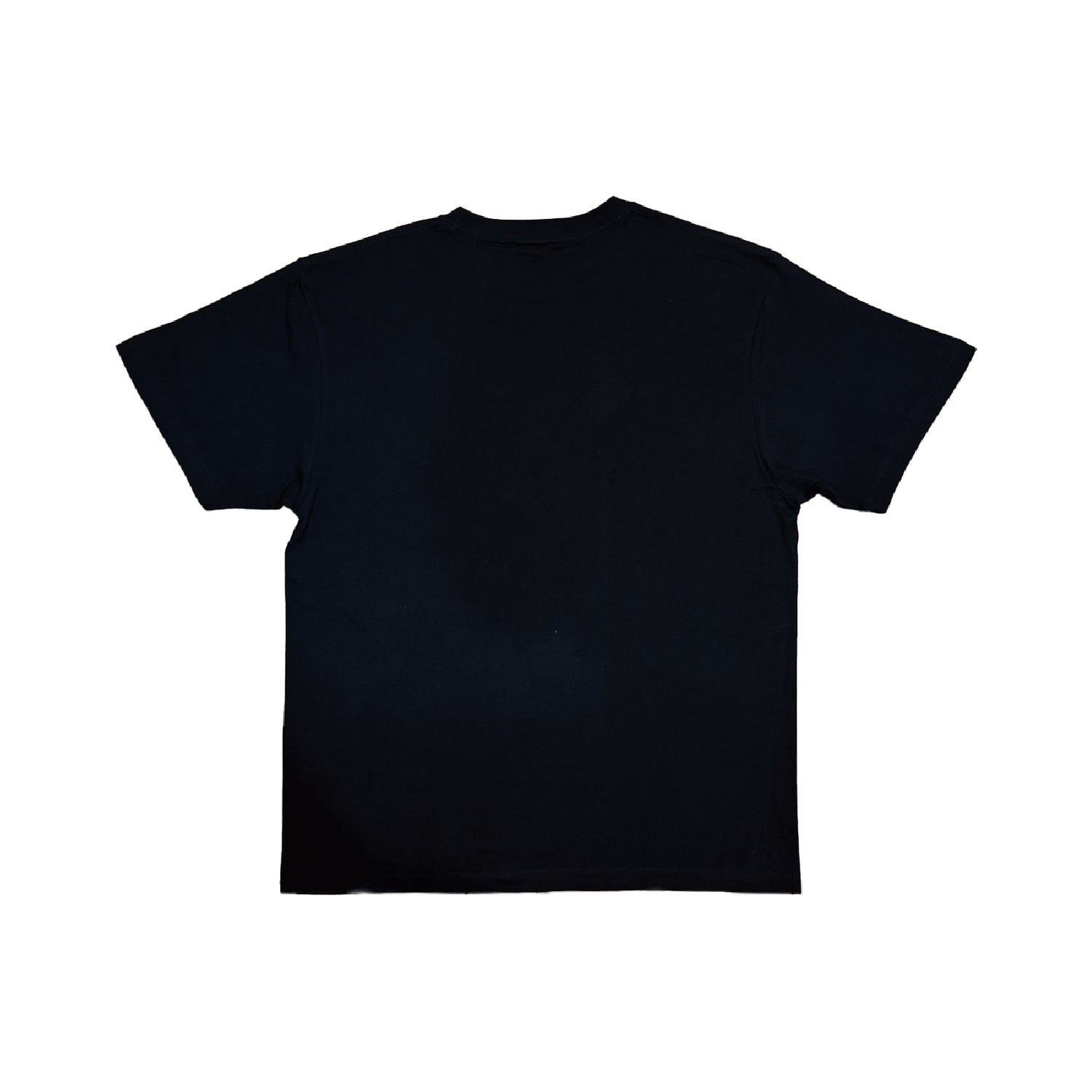 NT Logo Tee